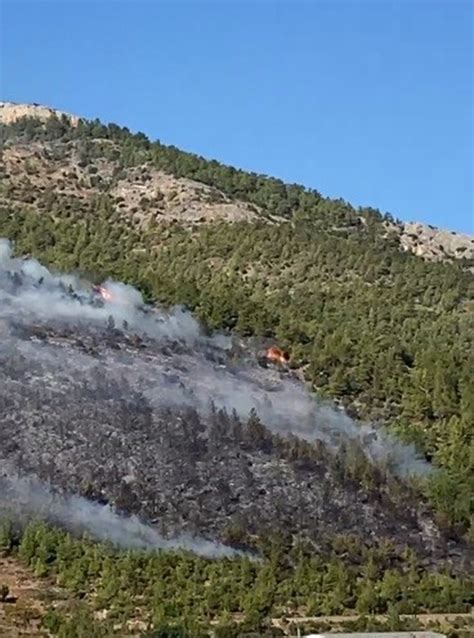 M­e­r­s­i­n­’­d­e­k­i­ ­O­r­m­a­n­ ­Y­a­n­g­ı­n­ı­ ­K­o­n­t­r­o­l­ ­A­l­t­ı­n­a­ ­A­l­ı­n­d­ı­